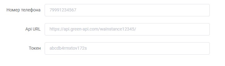 Business API WhatsApp