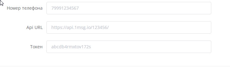 Business API WhatsApp